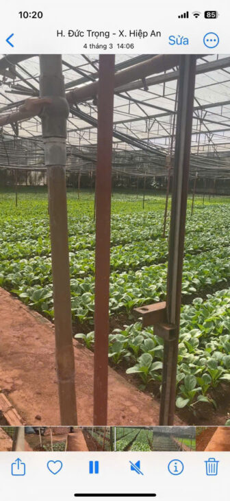 HẠ GIÁ KỊCH SÀN – BÁN GẦN 5000M2 HIỆP AN – GIẢM 5 TỶ HẠ GIÁ KỊCH SÀN – BÁN GẦN 5000M2 HIỆP AN – GIẢM 5 TỶ