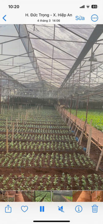 HẠ GIÁ KỊCH SÀN – BÁN GẦN 5000M2 HIỆP AN – GIẢM 5 TỶ