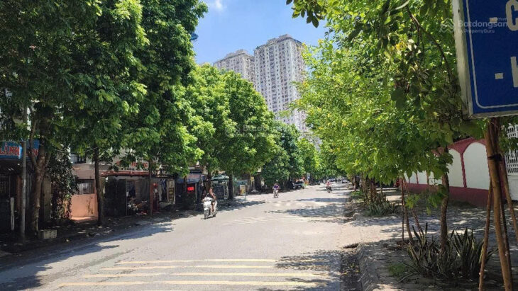 Bán căn biệt thự mặt đường Hạnh Hoa khu đô thị Xa La DT 120m2, vỉa hè kinh doanh đỉnh