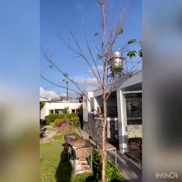 CHO THUÊ CỤM VILLA SÂN VƯỜN VIEW ĐẸP NGÔ THÌ SỸ P6 ĐÀ LẠT