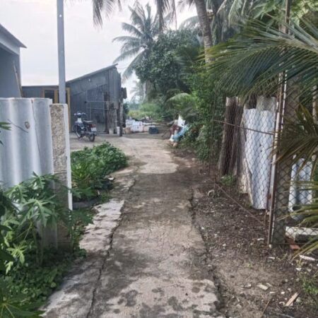 ĐẤT CHÍNH CHỦ – GIÁ TỐT – Cần Bán Đất Ấp Long Bình, xã Phú Thành, Đồng Tháp