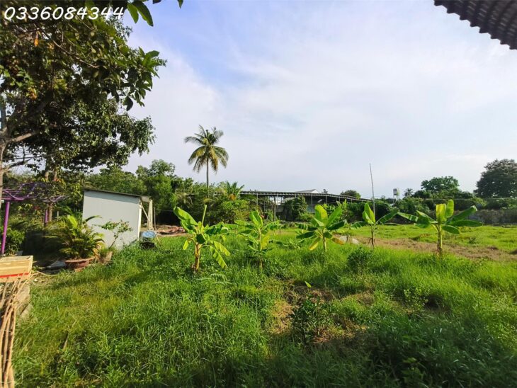 🌟 CƠ HỘI VÀNG – ĐẦU TƯ SINH LỜI CAO TẠI TRUNG TÂM TÂY NINH 🌟