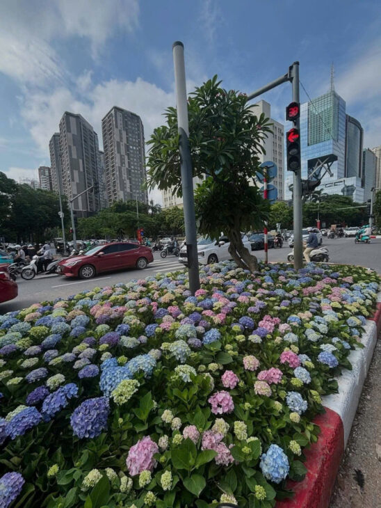 Bán Đảo Linh Đàm- Hoàng Mai- View Hồ Linh Đàm, Nhỉnh 14T.ỷ