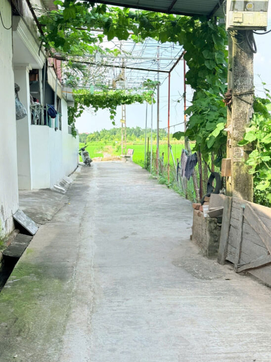 CC CHỊ GÁI NHỜ BÁN MẢNH ĐÂT 71M TAM THUẤN _ HÁT MÔN _ HÀ NỘI. ĐƯỜNG THÔNG OTO GẦN CƠ QUAN HÀNH