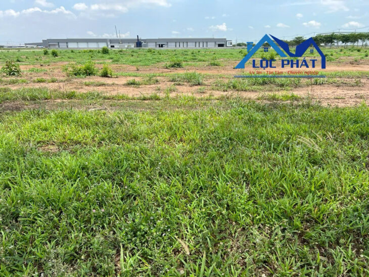 Bán đất 3ha KCN Giang Điền – Đồng Nai giá tốt 185usd/m2