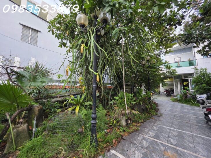 Biệt thự sân vườn Quốc lộ 13 cũ, Hiệp Bình Phước, Thủ Đức – 294m2 – Chỉ 47tr/m2