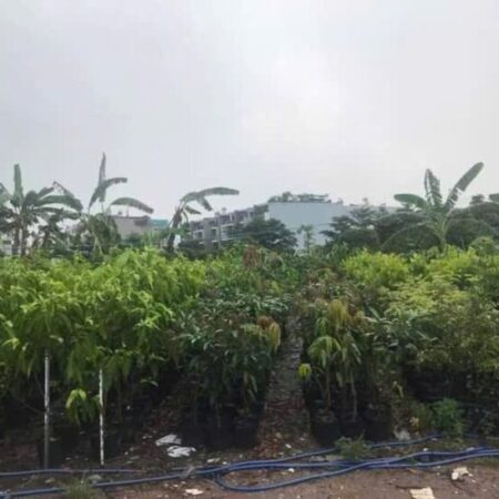 0.9Ha Đất đầu tư GD View sông – Phan Huy Ích Gò Vấp S