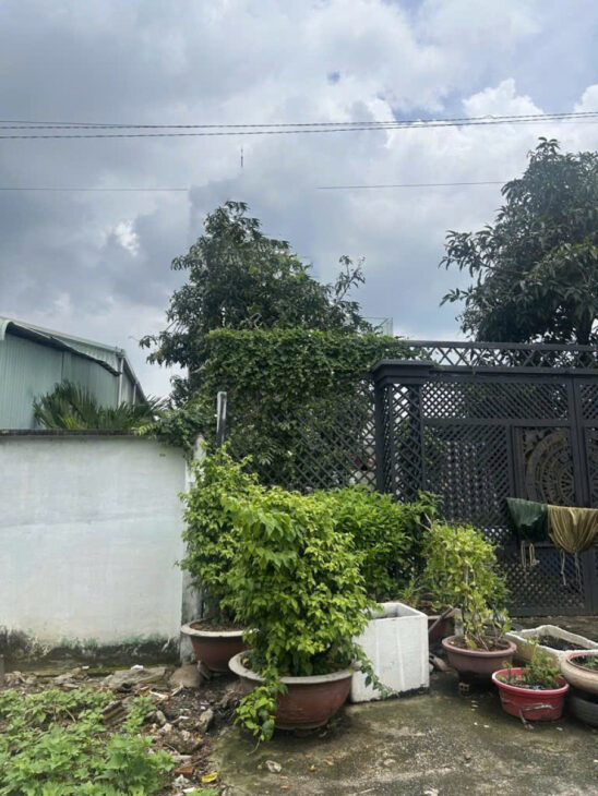 Nhà SHR Mặt tiền sông 2 tầng HXT 447m2, Vuông – An Phú Đông 3 Quận 12 SS