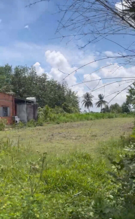 Chính Chủ Bán 1575,7m2 Đất Vườn Tại Phường Trảng Bàng, Thị Xã Trảng Bàng, Tây Ninh.