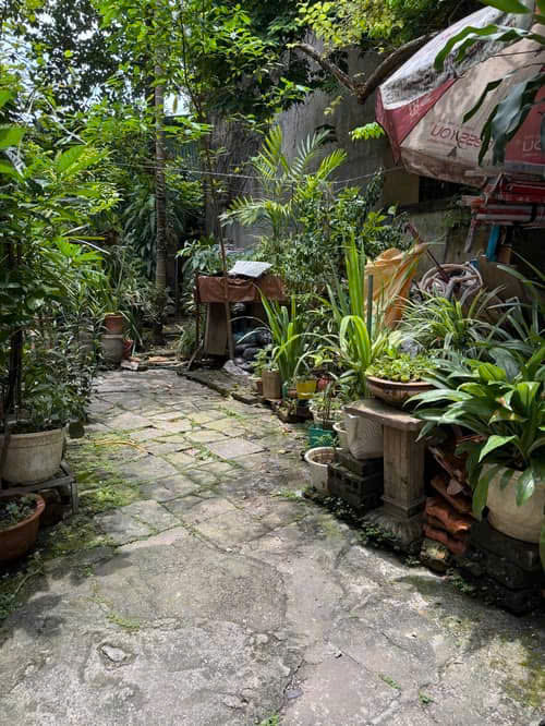 BÁN ĐẤT NGÕ NGỌC HÀ 69.8M, MẶT TIỀN 3.68M GIÁ 13.3 TỶ 0336212066
