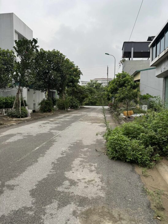 Bán đất TĐC Trâu Quỳ – Gia Lầm, giá 6.54 tỷ, LH 0985865658