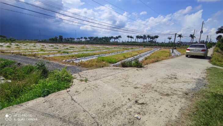 Bán gấp lô đất lúa chuyển thổ không dính quy hoạch giá 2,7 tỷ