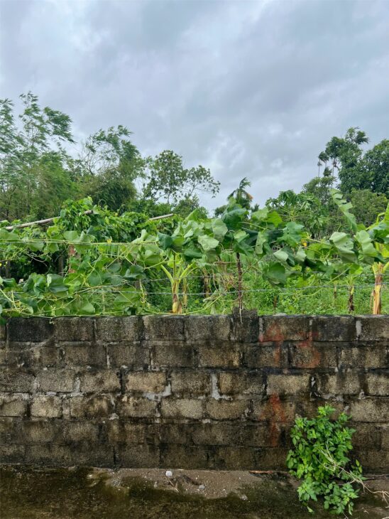 Bán đất giá hiếm Tĩnh Hải Dương Kinh – đầu tư sinh lời, chỉ từ 1x triệu/m² – ZALO 0567 222 555