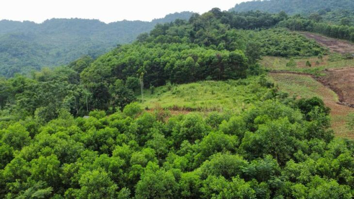 ĐẤT DÂN CẦN BÁN 50HA ĐẤT RSX F0 TẠI CAO PHONG , HÒA BÌNH CŨ ,NAY THUỘC PHÚ THỌ