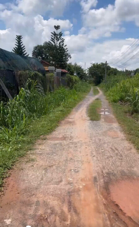 Chính Chủ Bán 1575,7m2 Đất Vườn Tại Phường Trảng Bàng, Thị Xã Trảng Bàng, Tây Ninh.