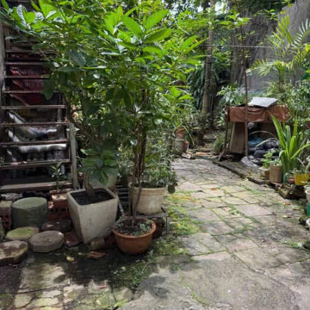 BÁN ĐẤT NGÕ NGỌC HÀ 69.8M, MẶT TIỀN 3.68M GIÁ 13.3 TỶ 0336212066