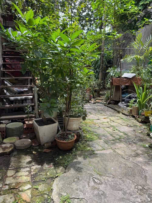 BÁN ĐẤT NGÕ NGỌC HÀ 69.8M, MẶT TIỀN 3.68M GIÁ 13.3 TỶ 0336212066