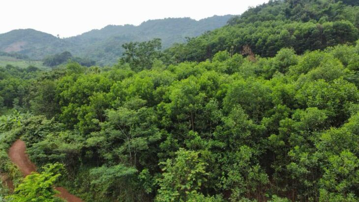 ĐẤT DÂN CẦN BÁN 50HA ĐẤT RSX F0 TẠI CAO PHONG , HÒA BÌNH CŨ ,NAY THUỘC PHÚ THỌ