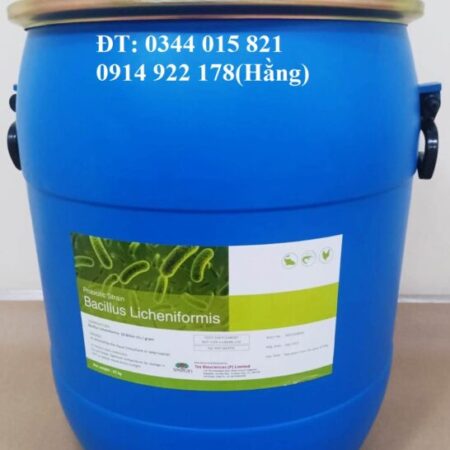Bacillus Licheniformis, men vi sinh cân bằng đường ruột cho vật nuôi