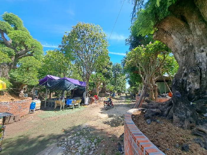 Bán đất mặt tiền 44x65m giá 38 tỷ Đường Bùi Công Trừng