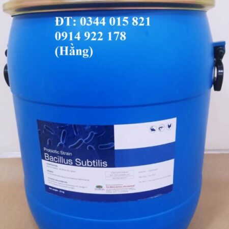 Bacillus Subtilis, men vi sinh đường ruột, bổ sung vào thức ăn vật nuôi