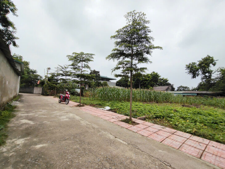 Chính Chủ Gửi Bán 144 m 50 thổ cư chỉ 1, x tỷ Nhuận Trạch Lương Sơn -HB (PHÚ THỌ MỚI)