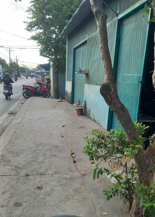 CHÍNH CHỦ Bán Nhà Vị Trí Đẹp Tại Nguyễn Thị Ngâu, Thới Tứ, Thới Tam Thôn, Hóc Môn, Hồ Chí Minh