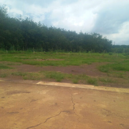 Kẹt tiền cần ra gấp 2 lô đất ngay sát trung tâm chợ