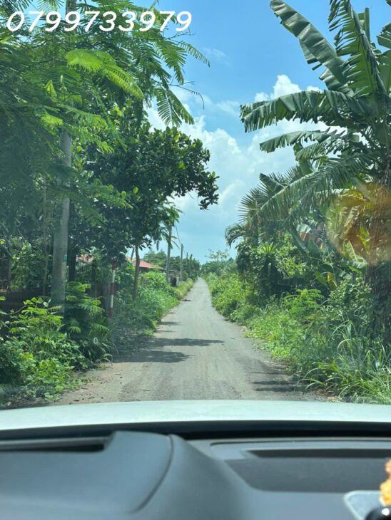 Bán 12.000m2 đất, xã Suối Rao, Bà Rịa Vũng Tàu, tặng nhà vườn, giá chỉ 14,9 tỷ