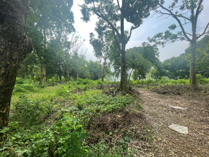 SIÊU PHẨM NGHỈ DƯỠNG VEN HỒ ĐỒNG SƯƠNG LƯƠNG SƠN ,HÒA BÌNH – GIÁ CỰC TỐT CHO NHÀ ĐẦU TƯ