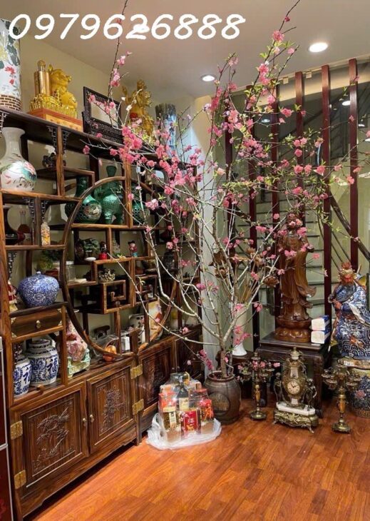 CƠ HỘI VÀNG – NHÀ PHỐ THÁI HÀ – CỰC HIẾM – Ô TÔ ĐỖ CỬA – KINH DOANH ĐỈNH CAO – 53x5T