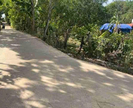 CHÍNH CHỦ CẦN BÁN ĐẤT GIÁ TỐT TẠI- LỘC NINH – BÌNH PHƯỚC