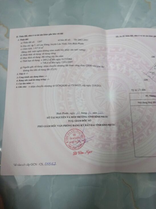 ĐẤT ĐẸP – GIÁ ĐẦU TƯ –CHÍNH CHỦ CẦN BÁN LÔ ĐẤT TẠI xã Lộc Hưng, huyện Lộc Ninh, tỉnh Bình Phước