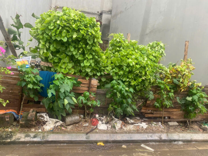 CẦN BÁN MẢNH ĐẤT ĐẸP TẠI HẢI BỐI, ĐÔNG ANH, HÀ NỘI