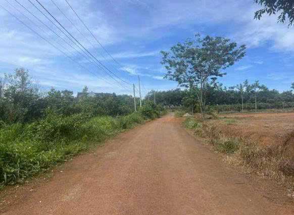 CẦN BÁN ĐẤT CHÍNH CHỦ – ẤP 4, XÃ THANH HÒA, HUYỆN BÙ ĐỐP, BÌNH PHƯỚC