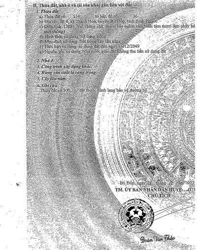 CẦN BÁN ĐẤT CHÍNH CHỦ – ẤP 4, XÃ THANH HÒA, HUYỆN BÙ ĐỐP, BÌNH PHƯỚC