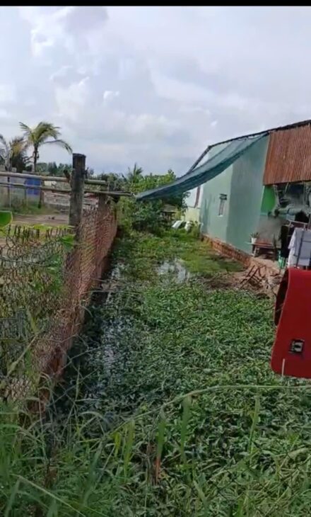 ĐẤT ĐẸP – GIÁ TỐT – CHÍNH CHỦ CẦN BÁN TẠI Xã Bình Khánh – Cần Giờ – HCM