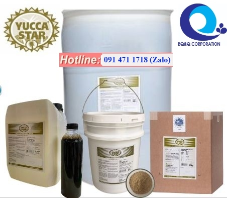 Yucca nguyên liệu, yucca Mexico, yucca bột, yucca nước