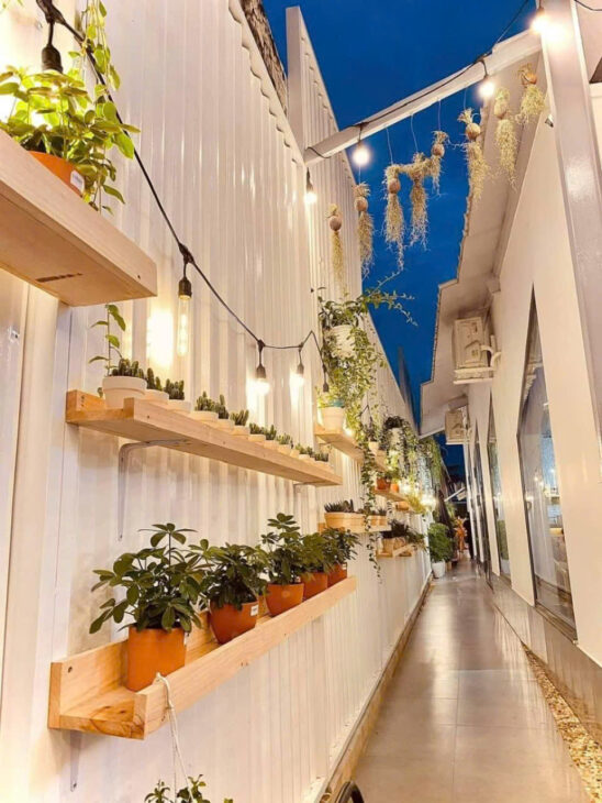 Nhà Mặt tiền SHR Đ.24m 241m2 – Nguyễn Văn Bứa Hóc Môn