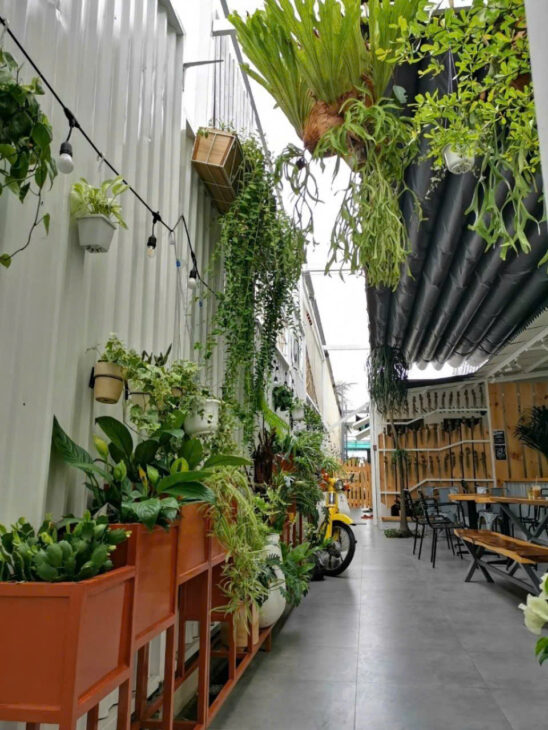 Nhà Mặt tiền SHR Đ.24m 241m2 – Nguyễn Văn Bứa Hóc Môn