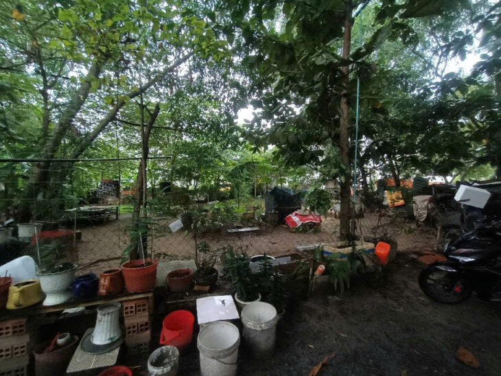 Đất Vuông SHR HXH 300m2 – Tân Hiệp 4 Hóc Môn SS
