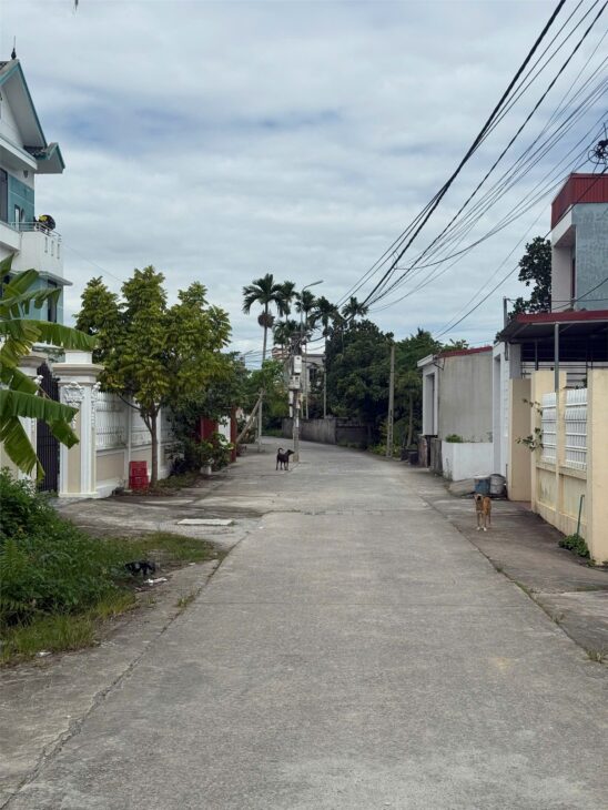 GIÁ SIÊU RẺ 5XX TRIỆU – LÔ ĐẤT Ô TÔ ĐỖ CỬA TẠI QUYẾT TIẾN, ĐỒ SƠN ZALO 0567 222 555