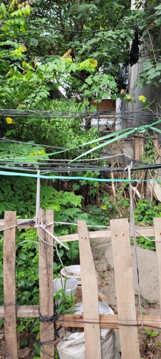 Bán đất thổ cư KĐT Sài Đồng – Lô đẹp, vị trí đáng sống bậc nhất Long Biên Bán đất thổ cư KĐT Sài Đồng – Lô đẹp, vị trí đáng sống bậc nhất Long Biên
