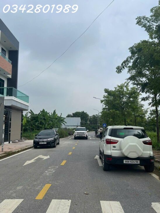 ĐÓN SÓNG ĐẤU GIÁ – LÔ ĐẸP N50 ĐỒNG GÁO, HỘI HỢP – VĨNH YÊN, VĨNH PHÚC