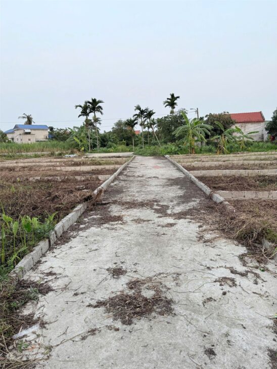 Đất hiếm 5xx triệu – lô vuông vắn trung tâm Hợp Đức, Đồ Sơn ZALO 0567 222 555