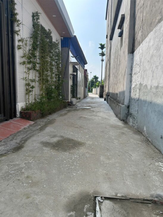 Đất giá rẻ Úc Gián – Thuận Thiên, Kiến Thụy chỉ từ 5xx triệu ZALO 0567 222 555