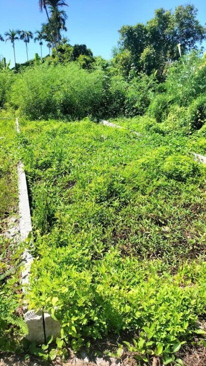 LÔ ĐẤT GIÁ TỐT GẦN KCN ĐỒ SƠN – TDP ĐỀ THÁM, MINH ĐỨC GIÁ CHỈ 1.X TỶ ZALO 0567 222 555