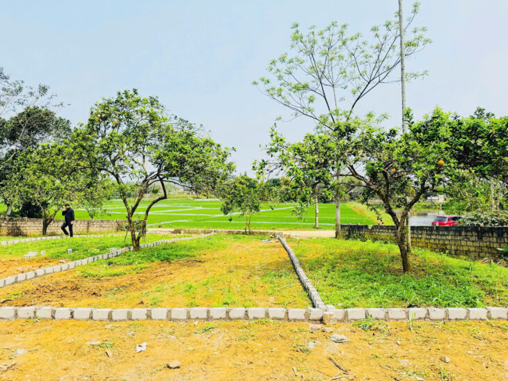SIÊU PHẨM ĐẤT ĐẸP THANH CAO – LƯƠNG SƠN – HÒA BÌNH