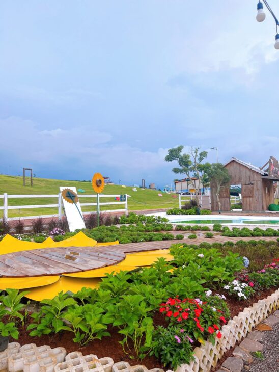 Sun valley Bảo Lộc, CDT rao bán thời kỳ mới Q4/2025