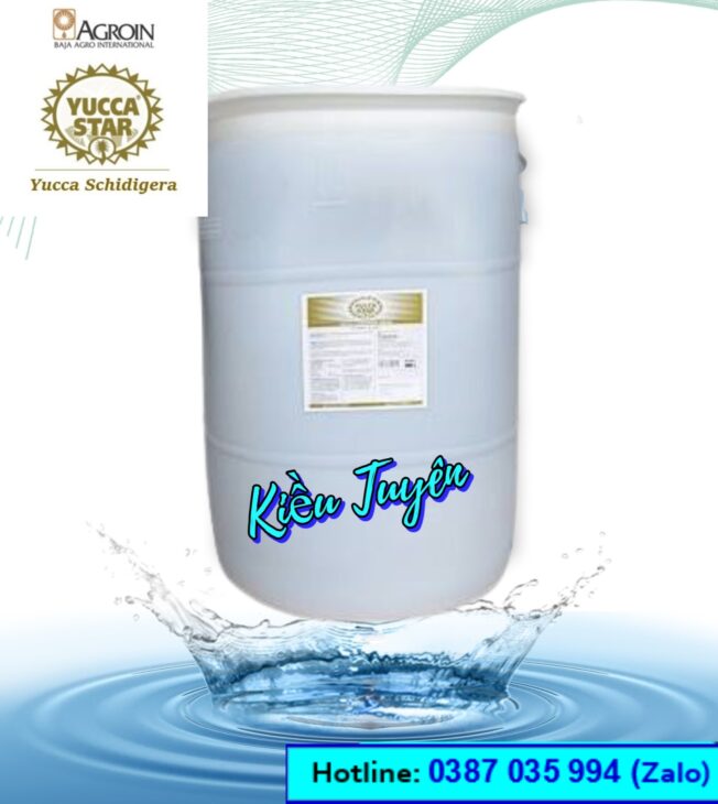 Yucca nguyên liệu, yucca Mexico, yucca bột, yucca nước